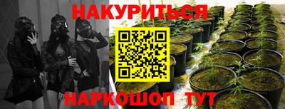 ECSTASY Краснодар